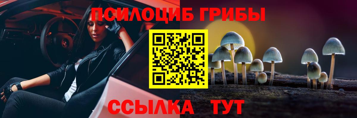 Галлюциногенные грибы Magic Shrooms  Вход с VPN  Ливны 