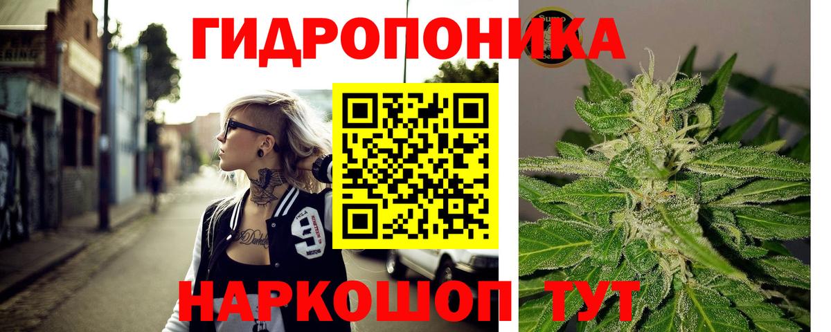 Шишки марихуана план  Бошки марихуана Bruce Banner  Вход с VPN  Ливны  МАРИХУАНА MAZAR  Канабис AK-47 